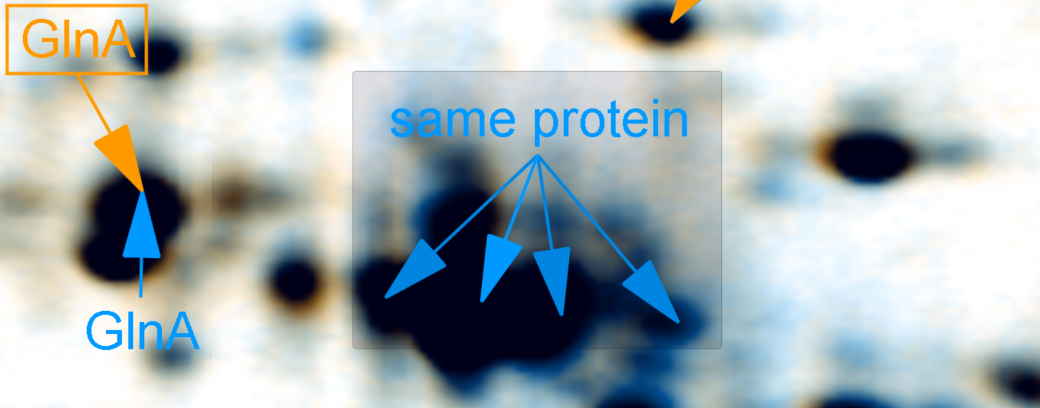 Grouped Label Grouped Label