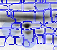 Traditional Spot Matching - Image 1 Traditional Spot Matching - Image 1