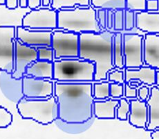 Traditional Spot Matching - Image 3 Traditional Spot Matching - Image 3